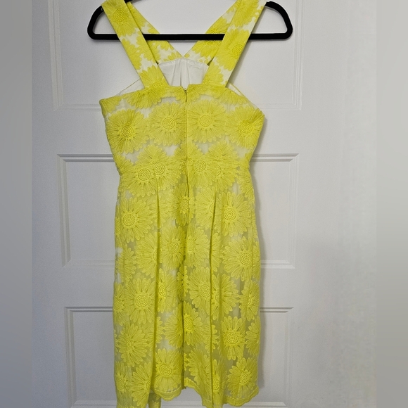 New Daniel Cremieux Women's "Natalie" Daisy Sleeveless Sundress sz 0 NWT - Picture 5 of 8